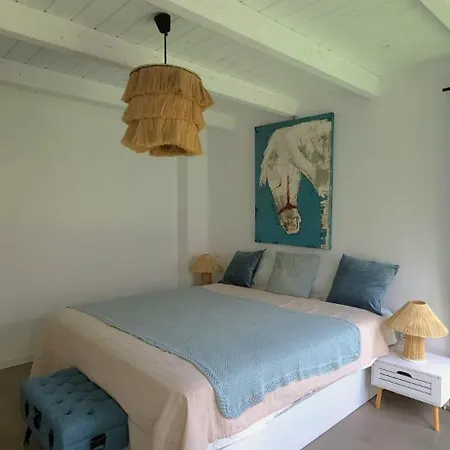 Villa Oasis Charming Oasis With Pool And Garden In
