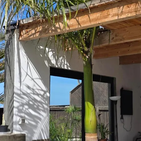 Oasis Charming Oasis With Pool And Garden In Lajares
