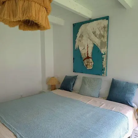 Villa Oasis Charming Oasis With Pool And Garden In