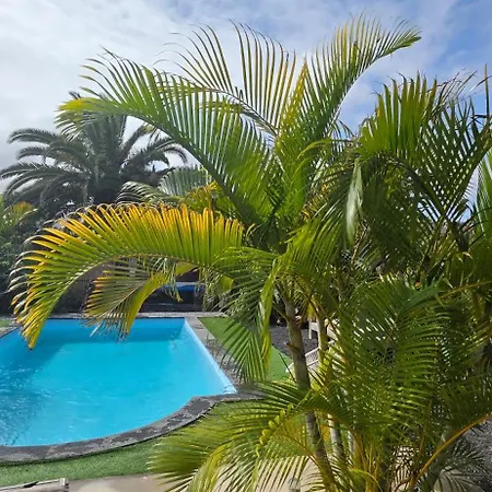 Villa Oasis Charming Oasis With Pool And Garden In Lajares