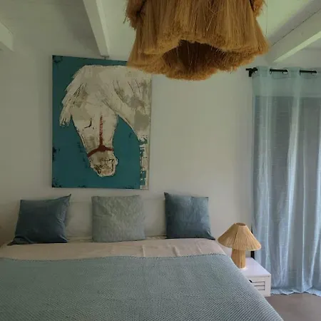 Oasis Charming Oasis With Pool And Garden In Villa Lajares